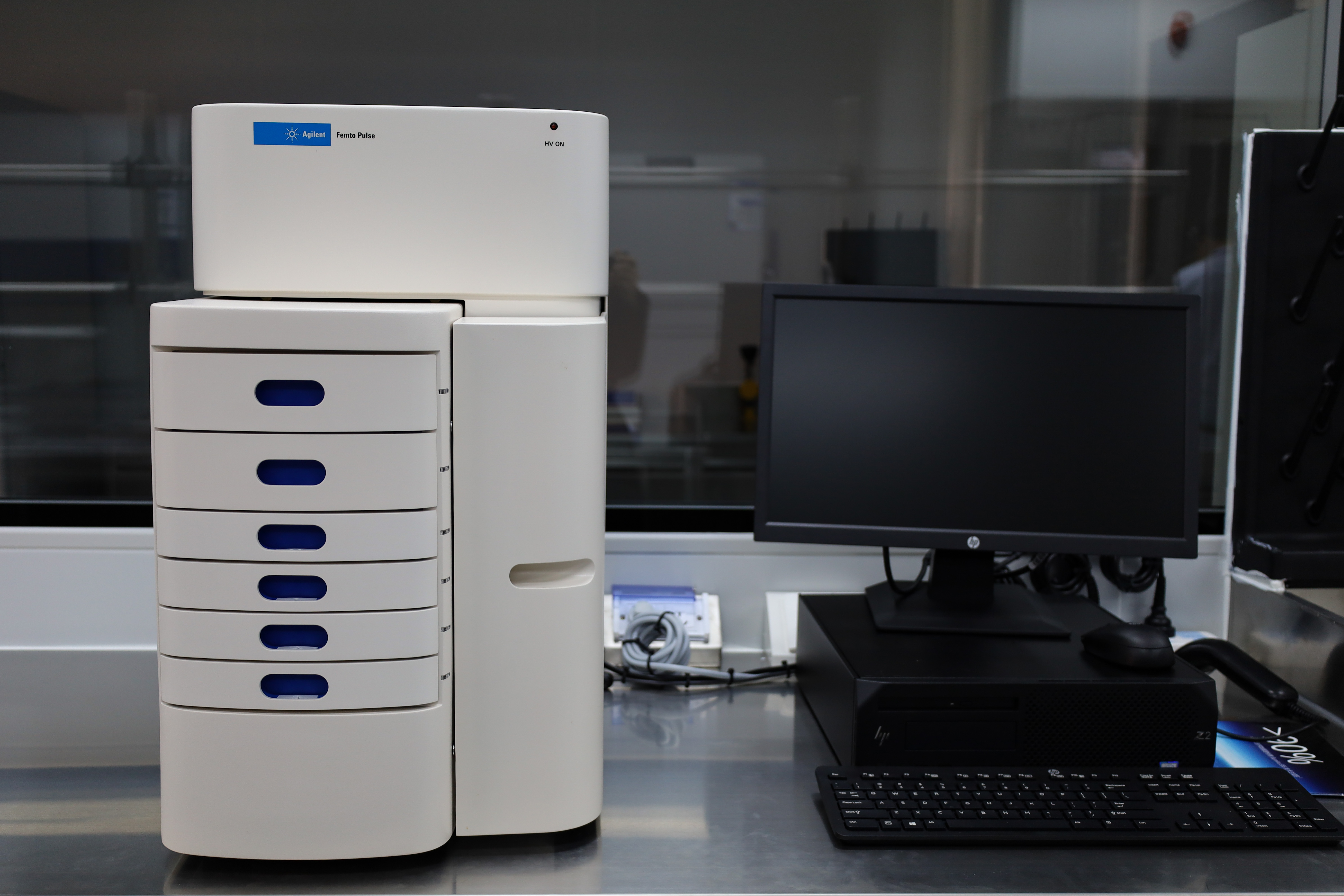 自动化脉冲场电泳