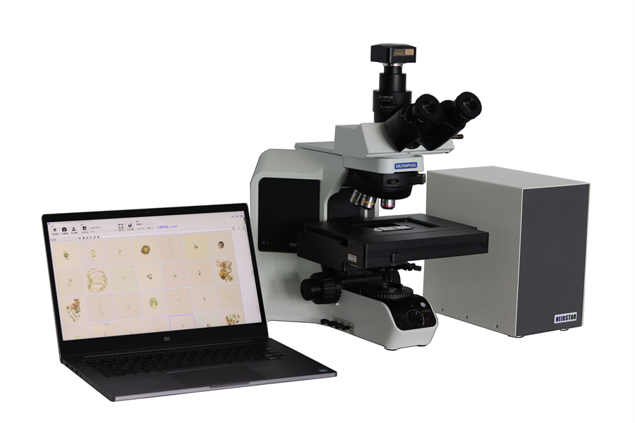 藻类自动分类计数仪